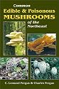 Common Edible and Poisonous Mushrooms of the Northeast