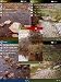 Mountain Stream Pocket PC 2002 Theme Pack 2