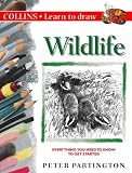 Wildlife (Collins Learn to Draw)