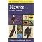 The Best Bird Books