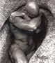 Body Conscious