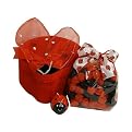 Lady Bug Keepsake Box - Red/ Black