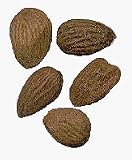 almond flavor extract