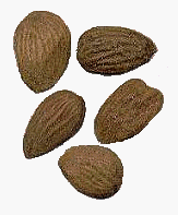 almond flavor extract