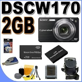 Sony Cybershot DSC-W170B 10.1MP 2x Optical Zoom Digital Camera (Black) 2GB BigVALUEInc Accessory Saver NPBG1 Battery Bundle + MORE