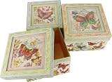 Botanic Butterflies Set of 3 nesting boxes with relief see-through 3 dimensional lids, GORGEOUS!