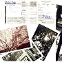 music tree