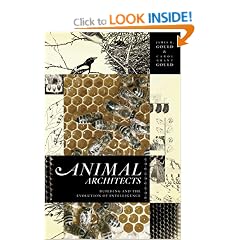 Animal Architects: Building and the Evolution of Intelligence