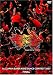 ALL JAPAN SUPER KIDS DANCE CONTEST 2007 [DVD]