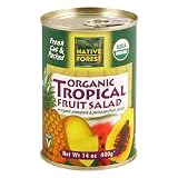 Native Forest Organic Tropical Fruit Salad, 14-Ounce Cans (Pack of 12)