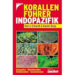 Korallenf�hrer Indopazifik: Gorgonien - Weichkorallen - Steinkorallen - Seeanemonen. Empfohlen von tauchen