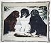 NEWFOUNDLAND Dogs #RM Afghan THROW BLANKET RUG New!