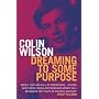 Dreaming to Some Purpose