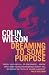 Dreaming to Some Purpose