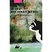 Le Chat qui venait du ciel