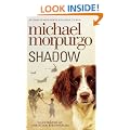 Shadow