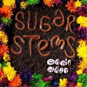 The Sugar Stems - Can