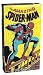 The Amazing Spider-Man Model Kit