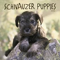Schnauzer Puppies 2006 Calendar