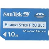 SanDisk 1 GB Memory Stick Pro Duo (SDMSPD-1024-A11)