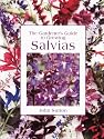 The Gardener's Guide to Growing Salvias