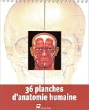 36 Planches d'anatomie humaine 36 Planches d'anatomie humaine