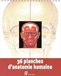 36 planches d'anatomie humaine (versi...