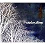 Wintersleep