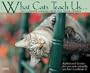What Cats Teach Us