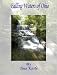 Book Falling Waters of Ohio