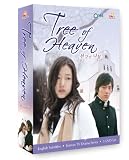 Tree of Heaven