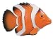 Swimways Rainbow Reef Fish - Orange/White
