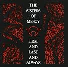 First And Last And Always (Remastered & Expanded)