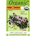 Ferry-Morse Organic Seeds 3137 Thyme - Common (Thymus Vulgaris) 230 Milligram Packet