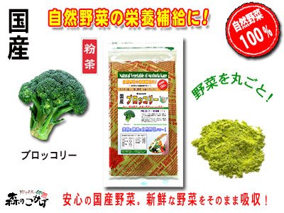 【送料無料】国産野菜粉末■ブロッコリー粉末100g入[野菜パウダー］