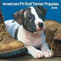 American Pit Bull Terrier Puppies 2009 Square Wall Calendar