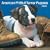 American Pit Bull Terrier Puppies 2009 Square Wall Calendar