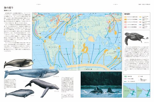 進化地図 スティーヴン・ジェイ・グールド路線