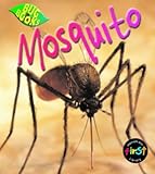 Mosquito