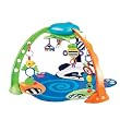 Fisher-Price Magical Mobile Gym