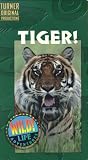 Wild Life Adventures: Tiger [VHS]