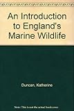 An introduction to England's marine wildlife