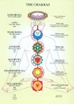 Chakras