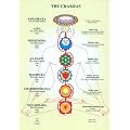 Chakras