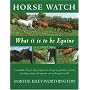 Horse Watch: The Equine Report