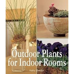 Outdoor Plants for Indoor Rooms