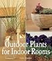 Outdoor Plants for Indoor Rooms