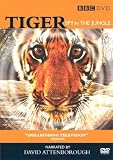 Tiger - Spy in the Jungle [2008]