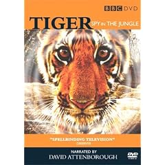 Tiger - Spy in the Jungle [2008] [DVD]