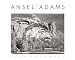 Book cover of Ansel Adams 2009 Wall Calendar.